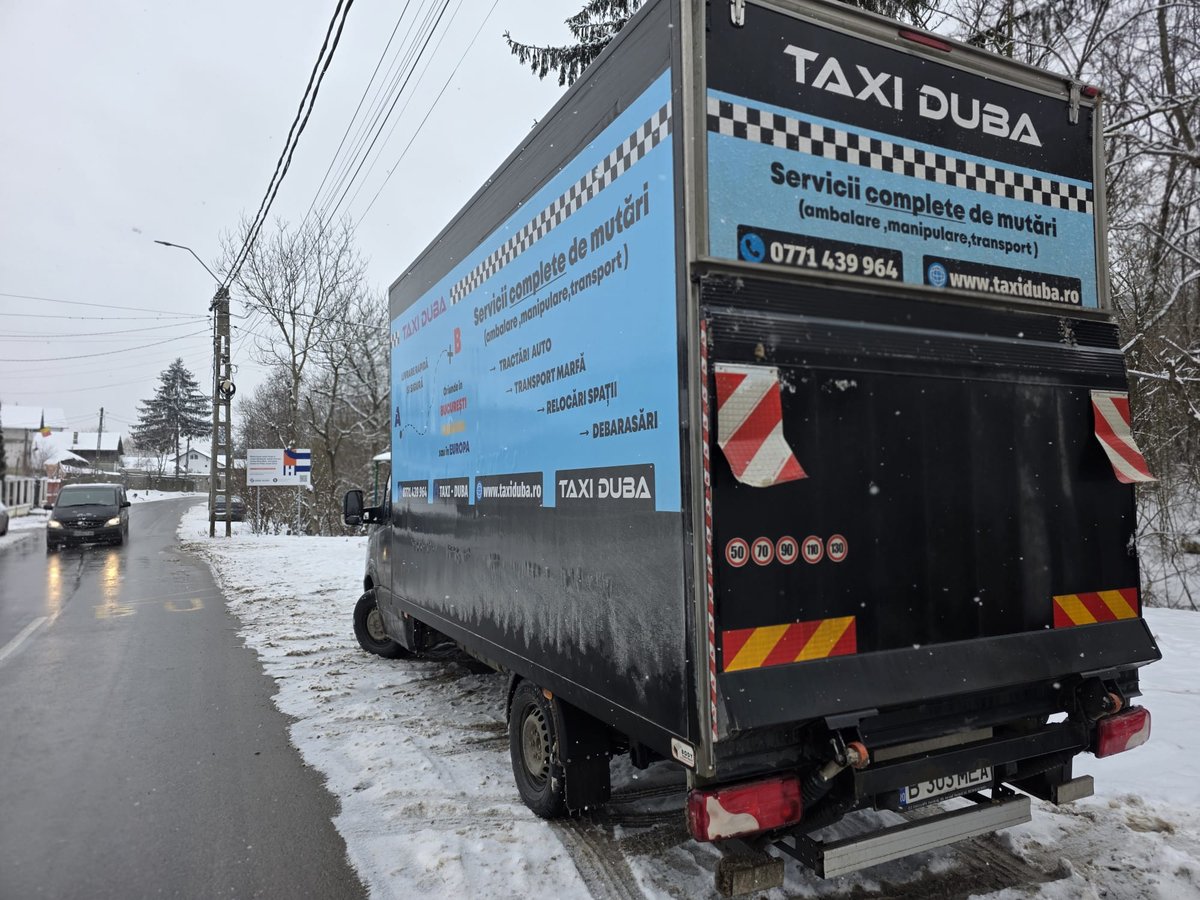 Dubă Taxi Duba colantată, vedere din spate, servicii complete de mutări București